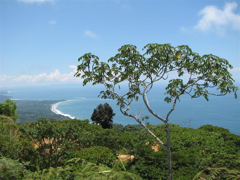 0 bed Land For Sale in Dominical, Puntarenas - thumb 3