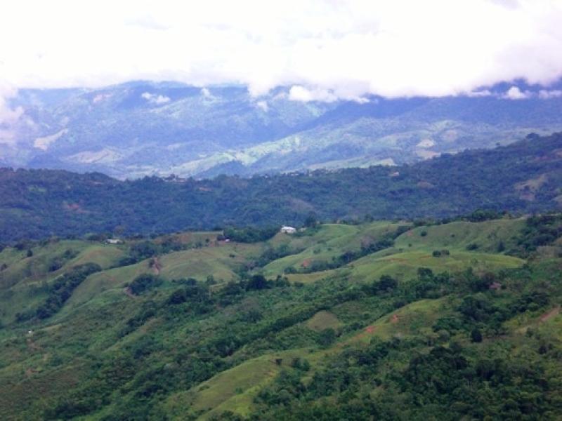 0 bed Land For Sale in Dominical, Puntarenas - thumb 1