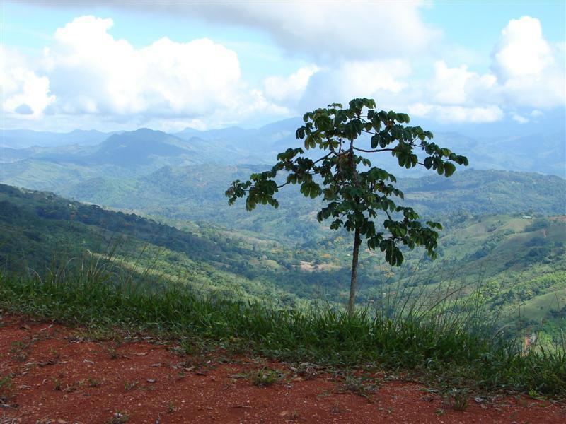 0 bed Land For Sale in Dominical, Puntarenas - thumb 2