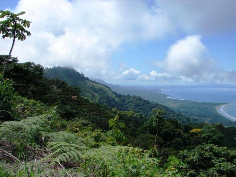 0 bed Land For Sale in Dominical, Puntarenas - thumb 5