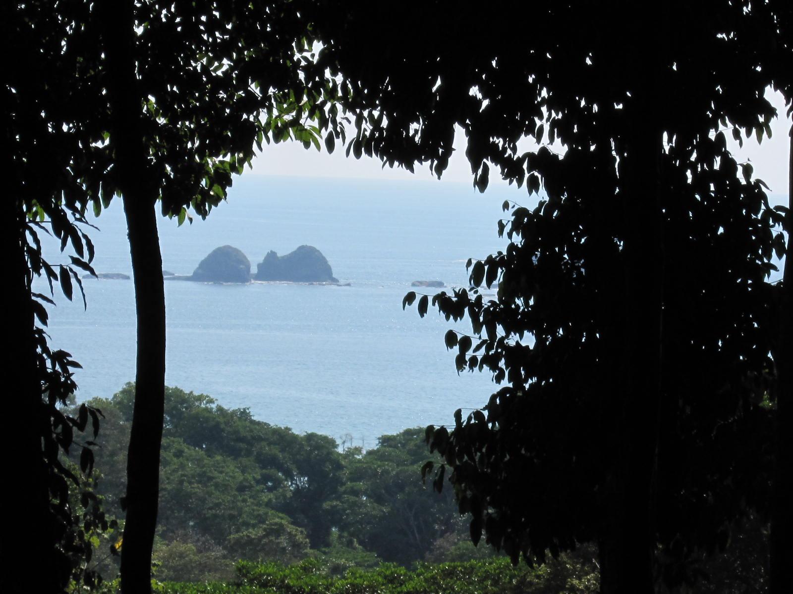 Ballena Eco Reserve 4.jpeg
