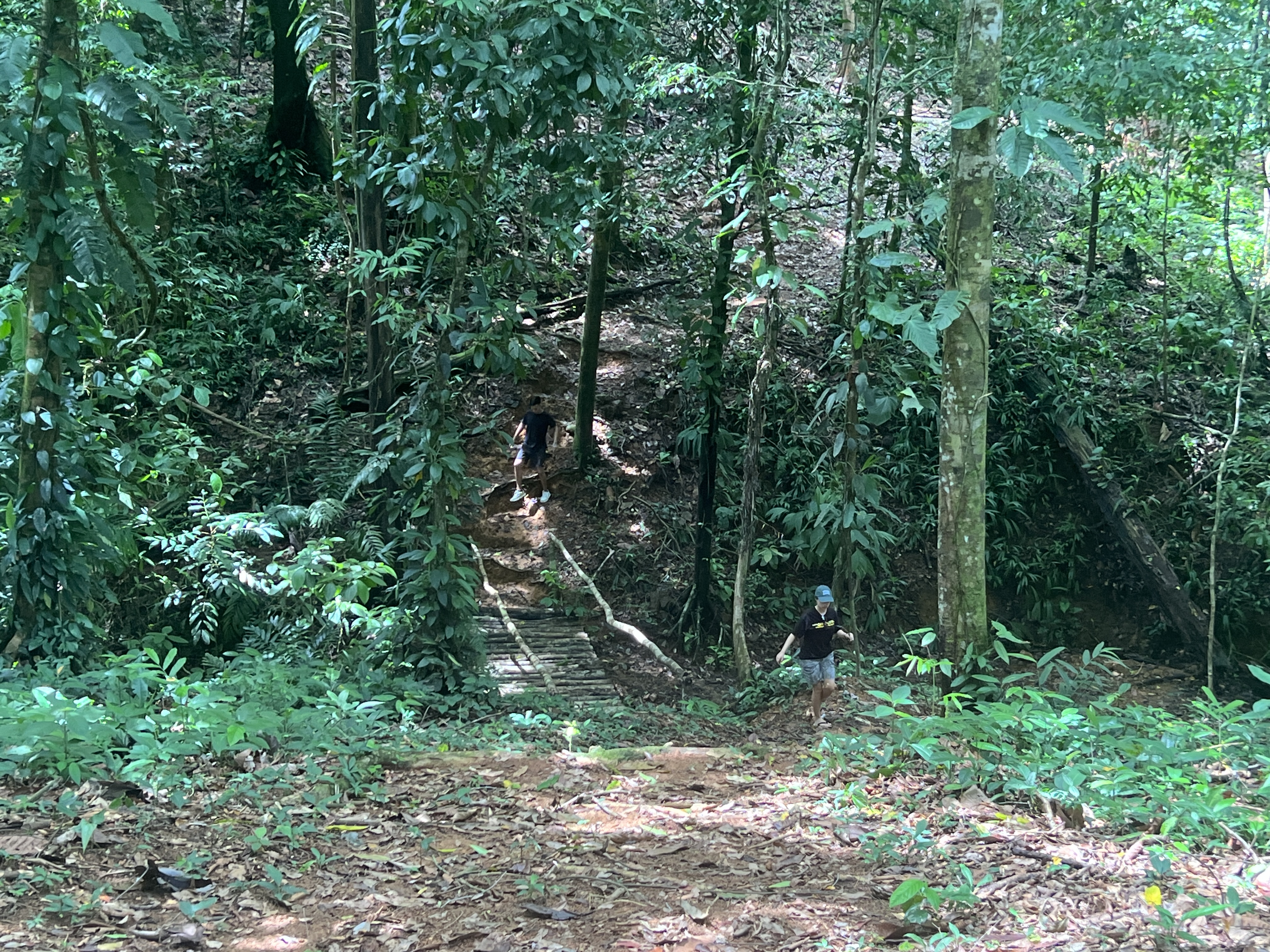 0 bed Land For Sale in Uvita, Puntarenas - thumb 3