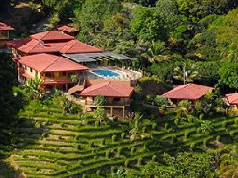 12 bed Hotel / Leisure For Sale in Dominical, Puntarenas - 1