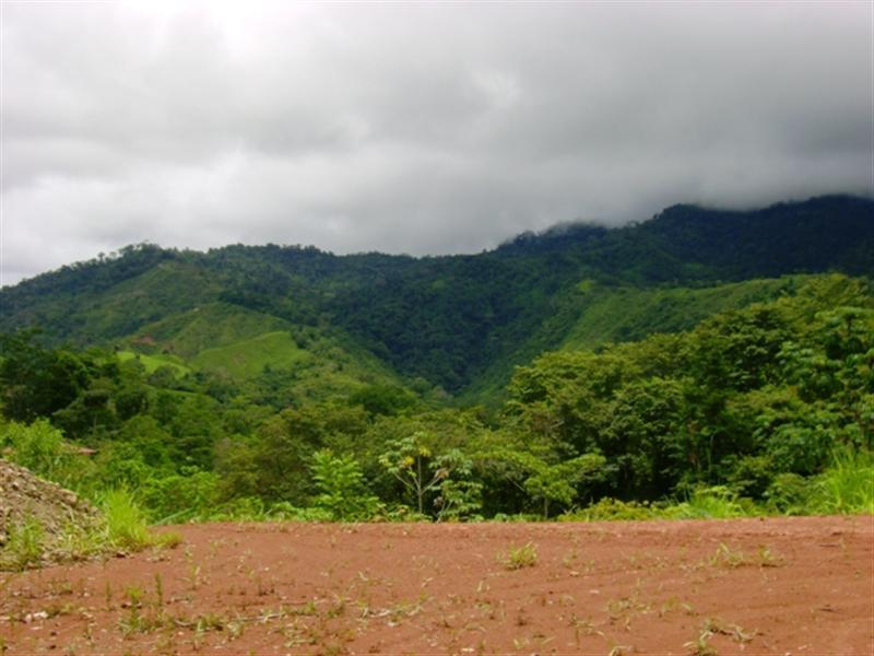 0 bed Land For Sale in Uvita, Puntarenas - 1
