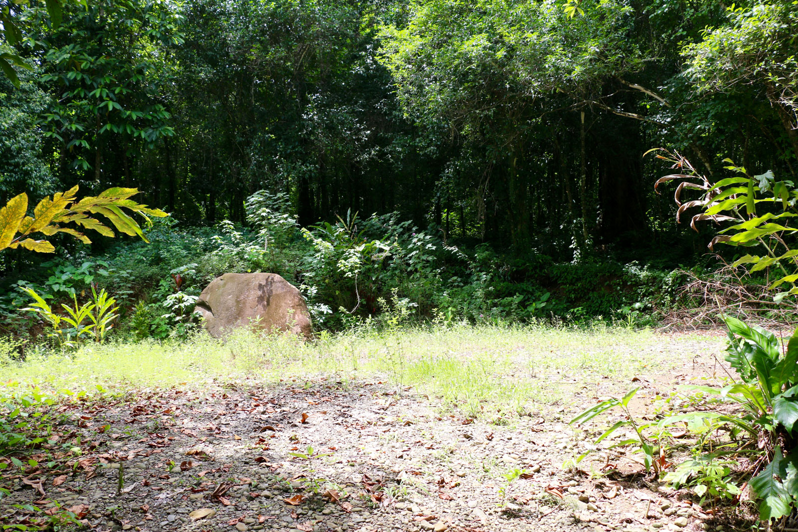 0 bed Land For Sale in Uvita, Puntarenas - thumb 2