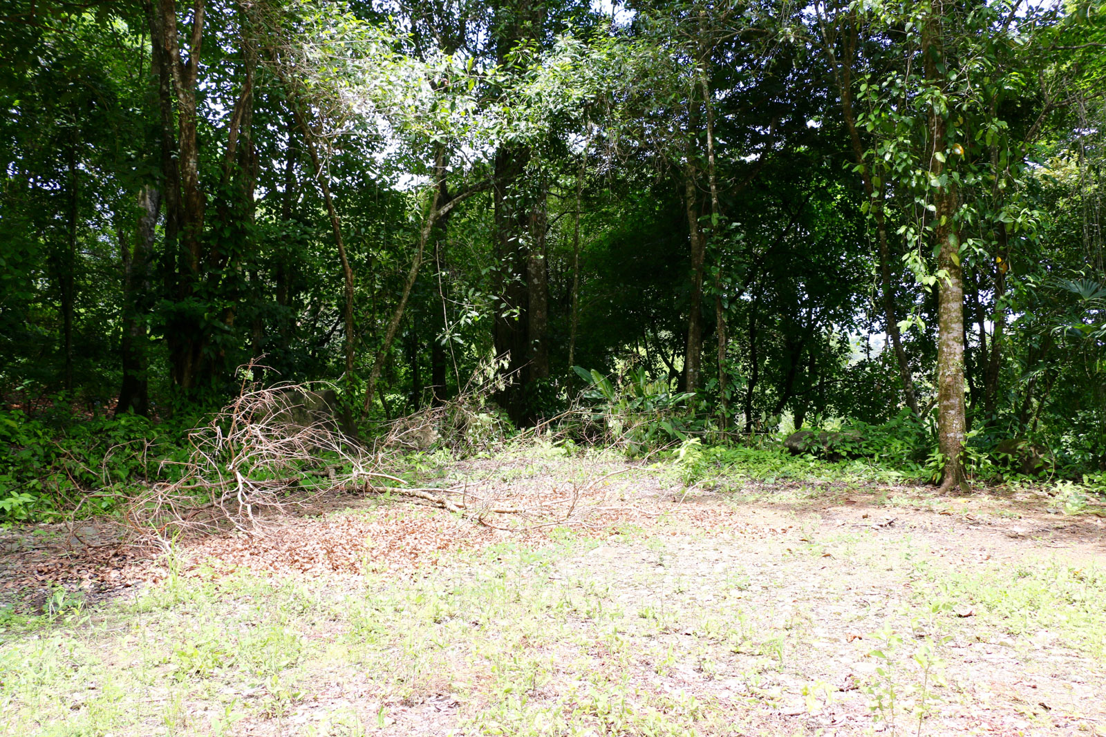 0 bed Land For Sale in Uvita, Puntarenas - thumb 3