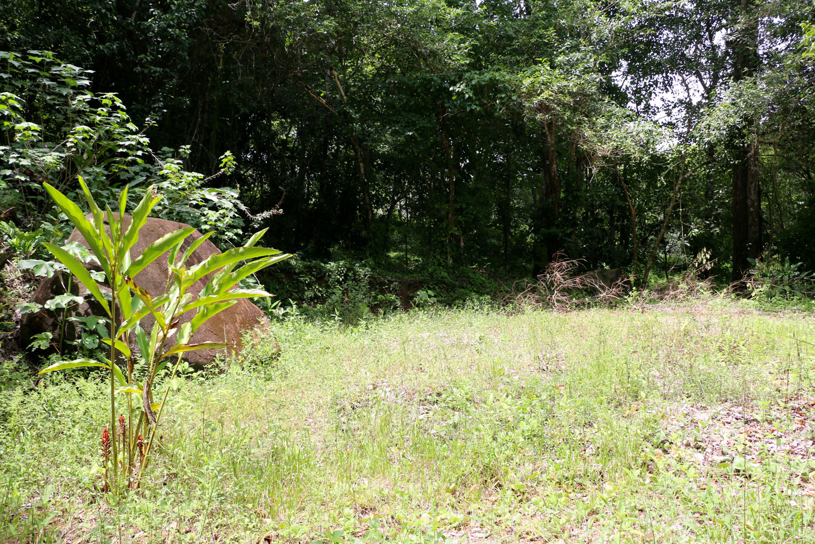 0 bed Land For Sale in Uvita, Puntarenas - thumb 4