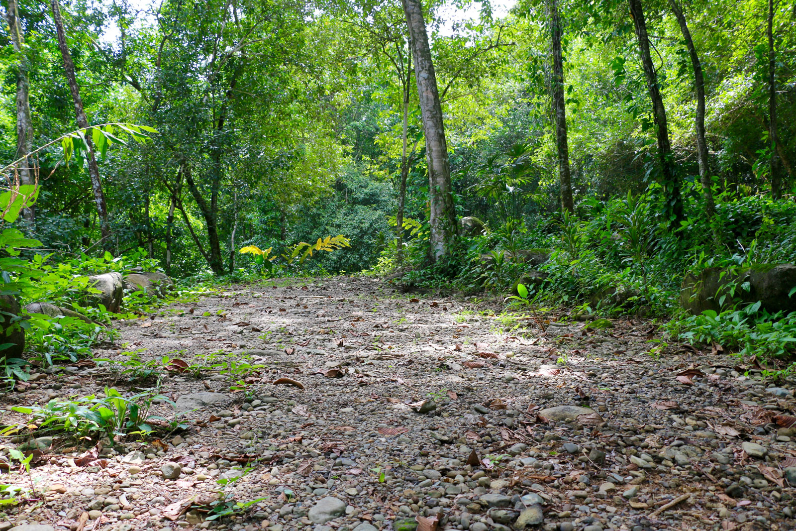 0 bed Land For Sale in Uvita, Puntarenas - thumb 6