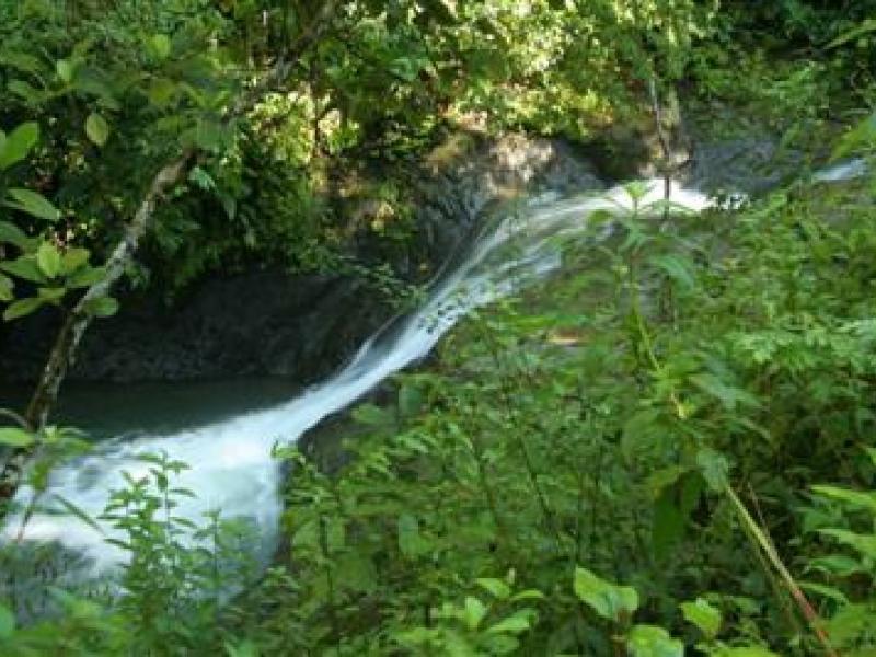 0 bed Land For Sale in Ojochal, Puntarenas - 1