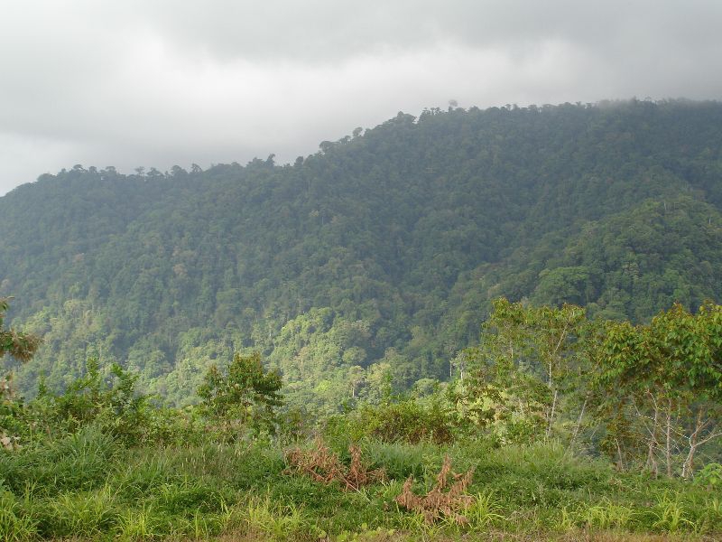 0 bed Land For Sale in Uvita, Puntarenas - thumb 4