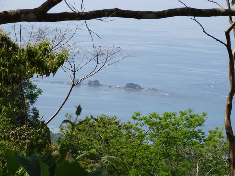 0 bed Land For Sale in Uvita, Puntarenas - thumb 2
