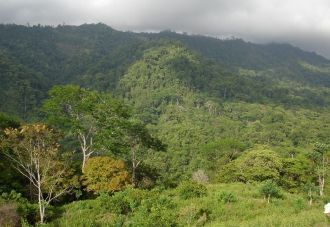 0 bed Land For Sale in Uvita, Puntarenas - thumb 5