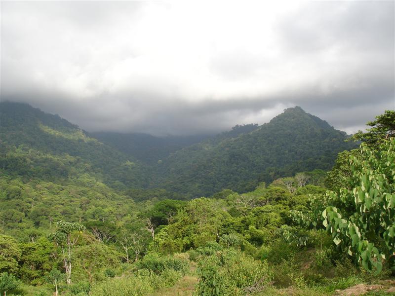 0 bed Land For Sale in Uvita, Puntarenas - thumb 6
