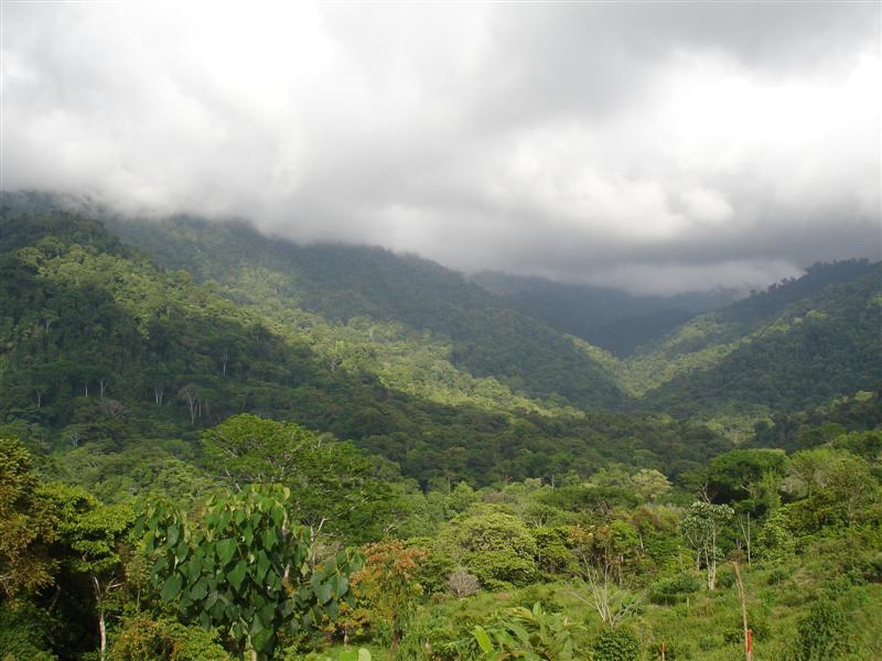 0 bed Land For Sale in Uvita, Puntarenas - thumb 7