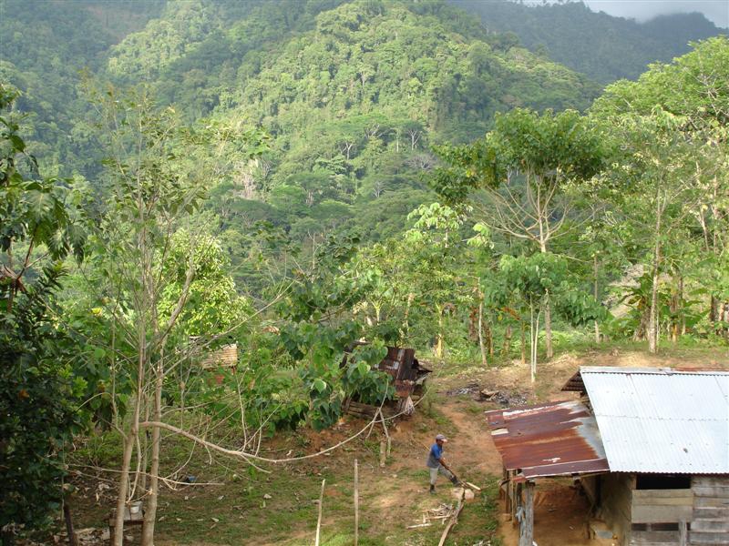0 bed Land For Sale in Uvita, Puntarenas - thumb 9