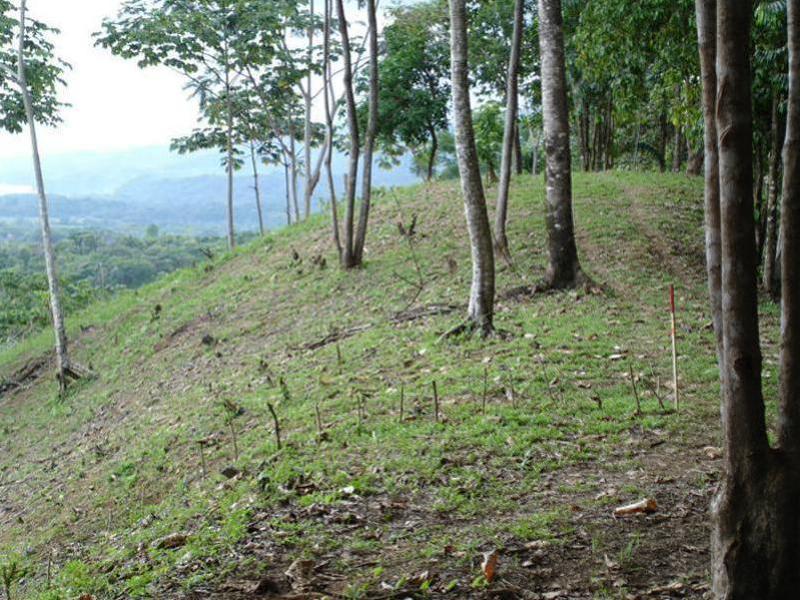 0 bed Land For Sale in Uvita, Puntarenas - 1