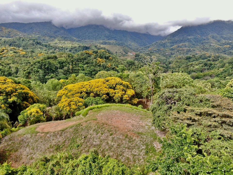 0 bed Land For Sale in Ojochal, Puntarenas - thumb 13