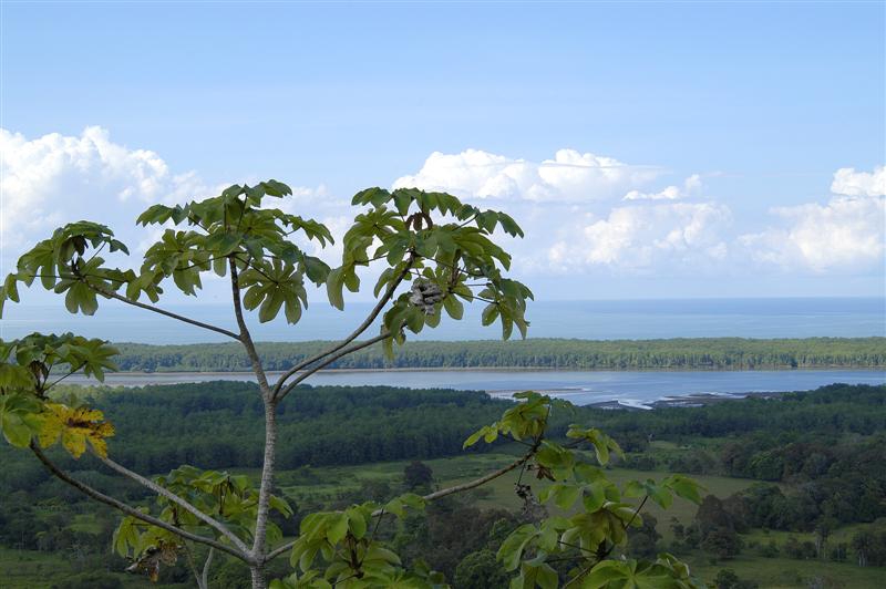 0 bed Land For Sale in Ojochal, Puntarenas - thumb 2