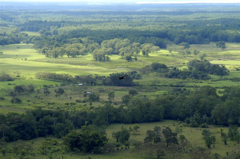 0 bed Land For Sale in Ojochal, Puntarenas - thumb 4