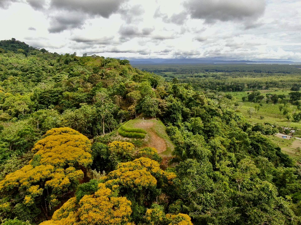 0 bed Land For Sale in Ojochal, Puntarenas - thumb 12