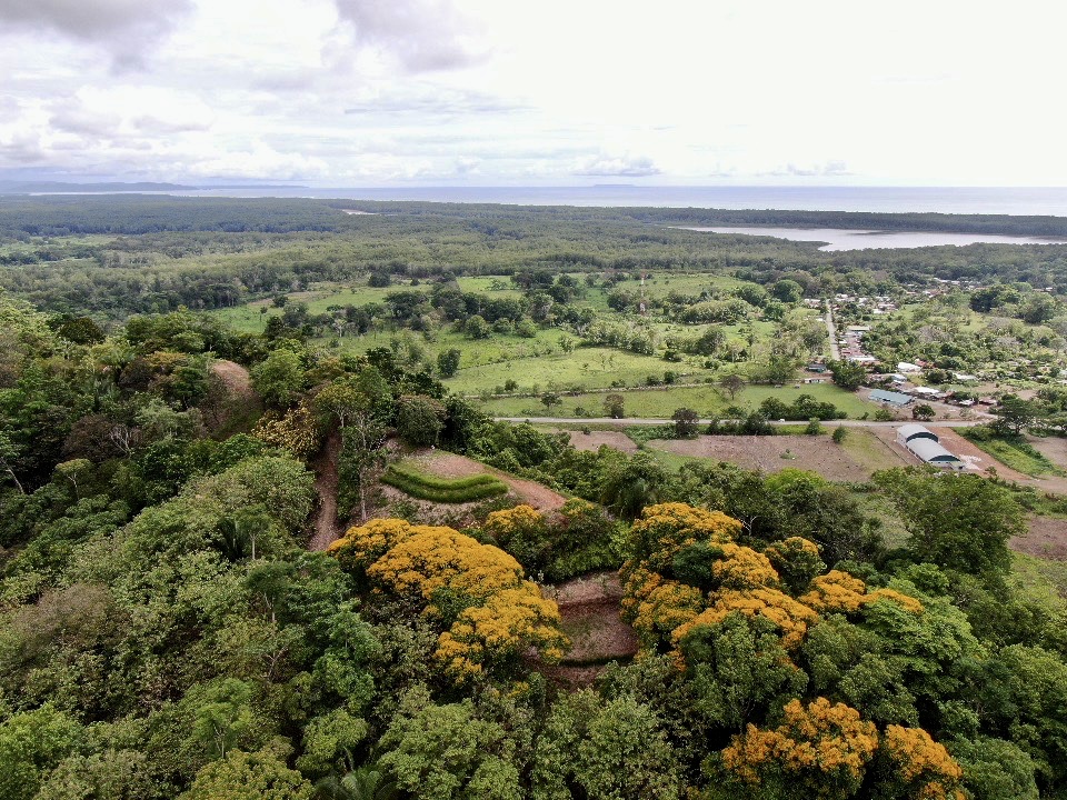 0 bed Land For Sale in Ojochal, Puntarenas - thumb 9