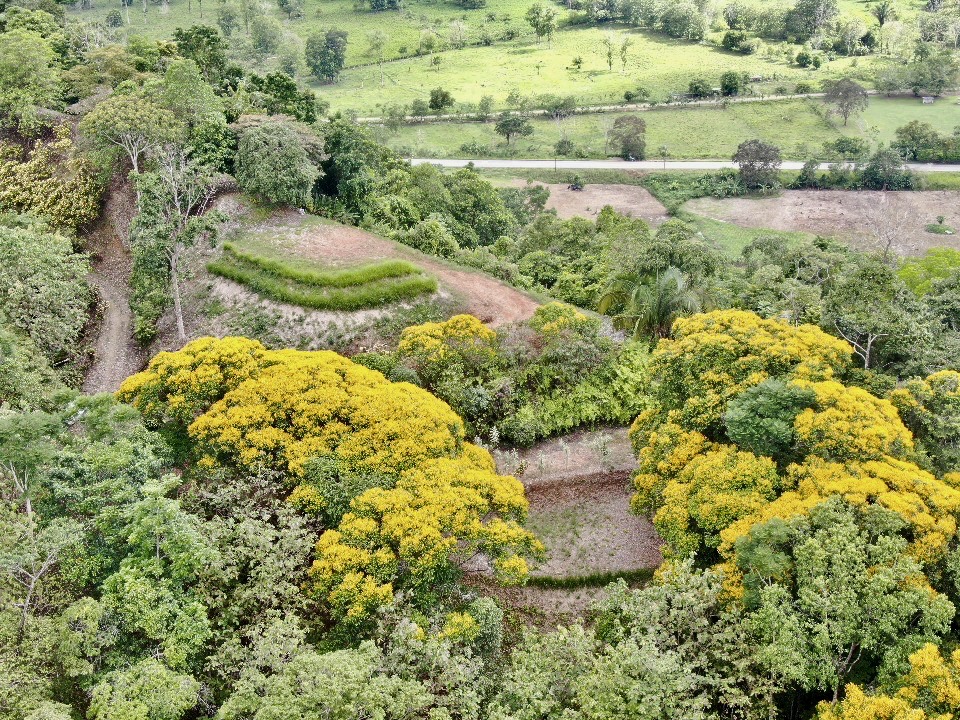 0 bed Land For Sale in Ojochal, Puntarenas - thumb 10