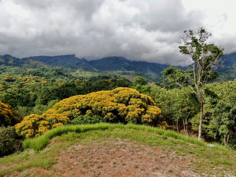 0 bed Land For Sale in Ojochal, Puntarenas - thumb 14
