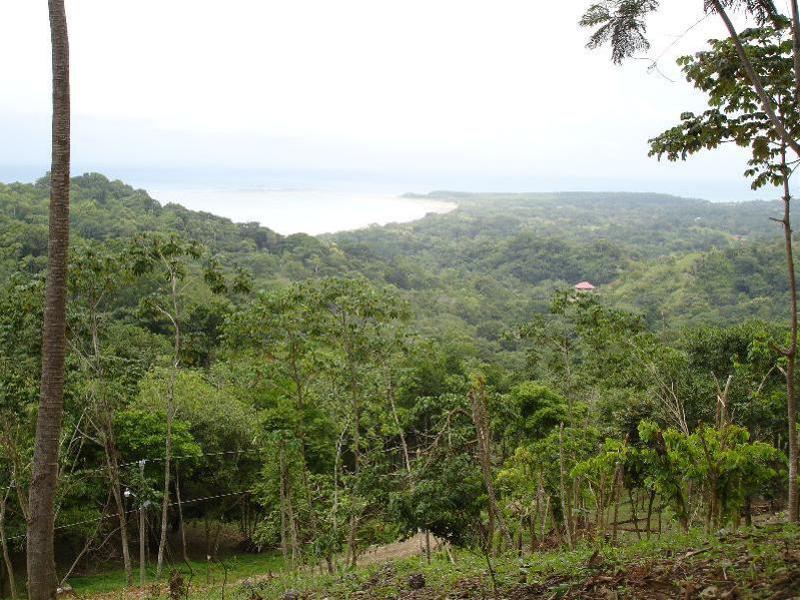 0 bed Land For Sale in Uvita, Puntarenas - 1