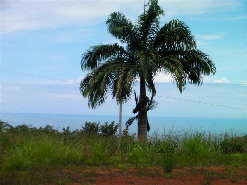 0 bed Land For Sale in Dominical, Puntarenas - 1