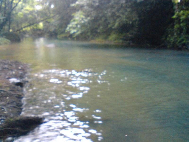 0 bed Land For Sale in Dominical, Puntarenas - 1