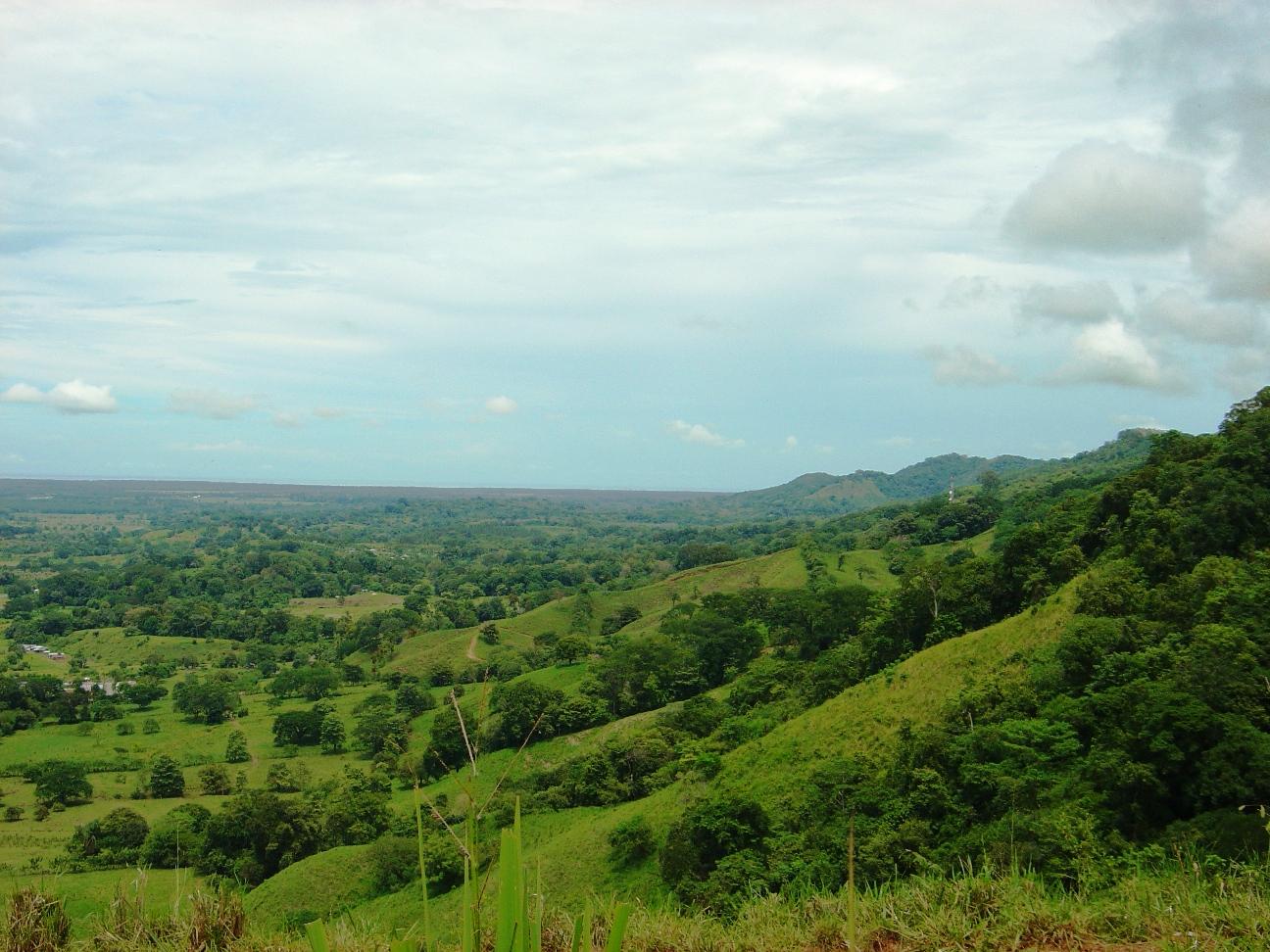 0 bed Land For Sale in Palmar, Puntarenas - thumb 2