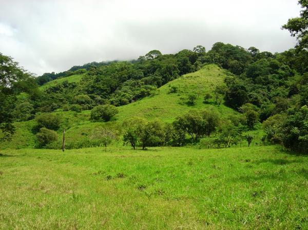 0 bed Land For Sale in Palmar, Puntarenas - thumb 6