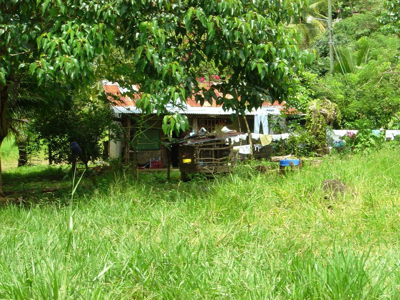 0 bed Land For Sale in Palmar, Puntarenas - thumb 8