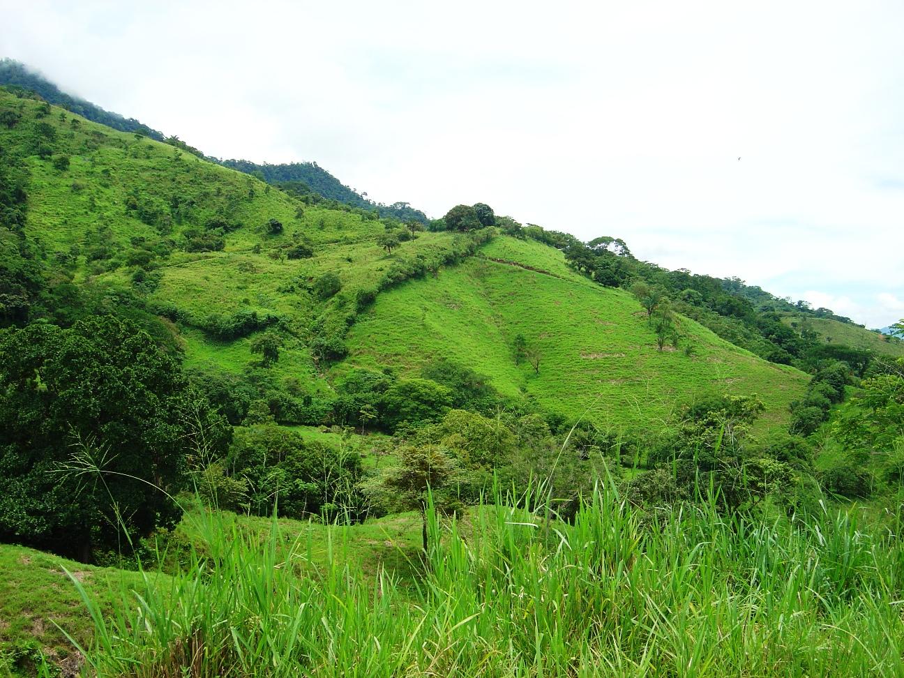 0 bed Land For Sale in Palmar, Puntarenas - thumb 10