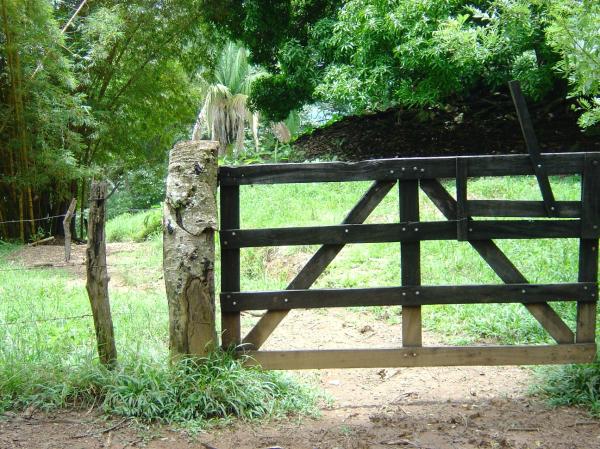 0 bed Land For Sale in Palmar, Puntarenas - thumb 11