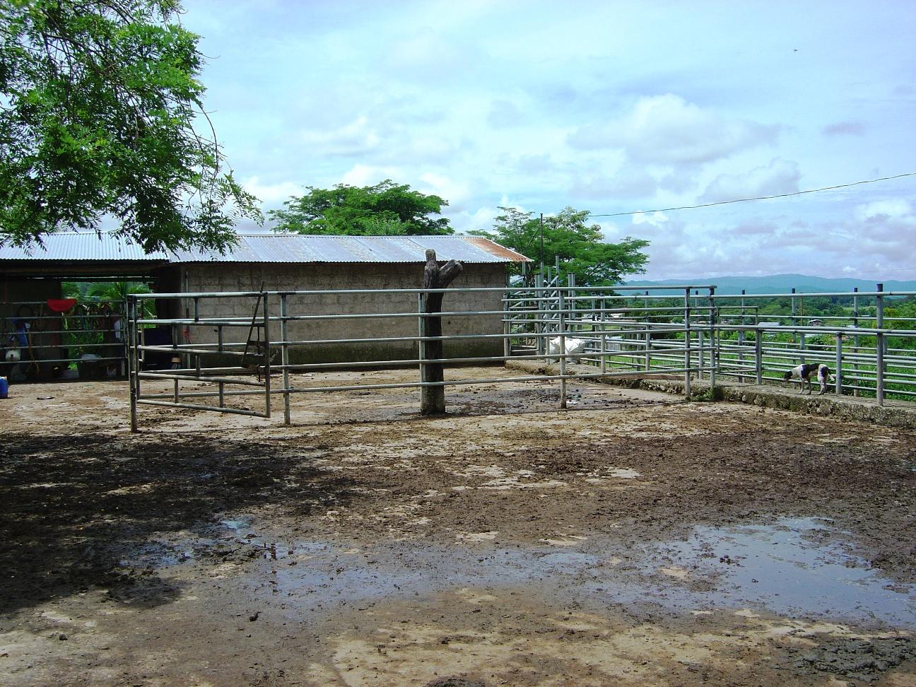 0 bed Land For Sale in Palmar, Puntarenas - thumb 13