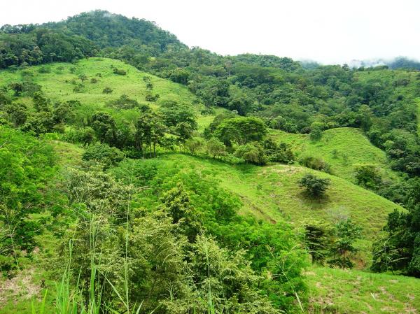 0 bed Land For Sale in Palmar, Puntarenas - thumb 14