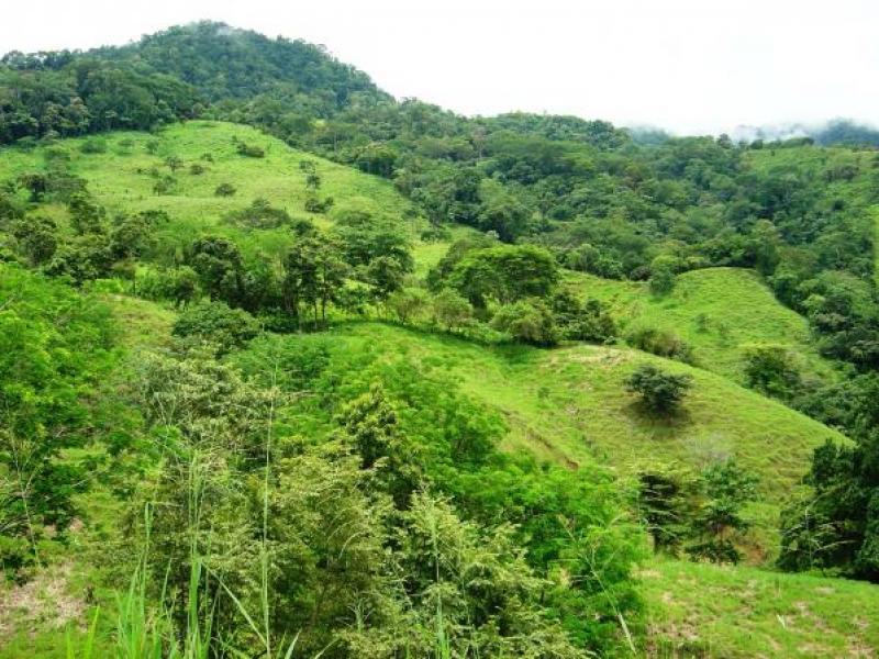 0 bed Land For Sale in Palmar, Puntarenas - thumb 14