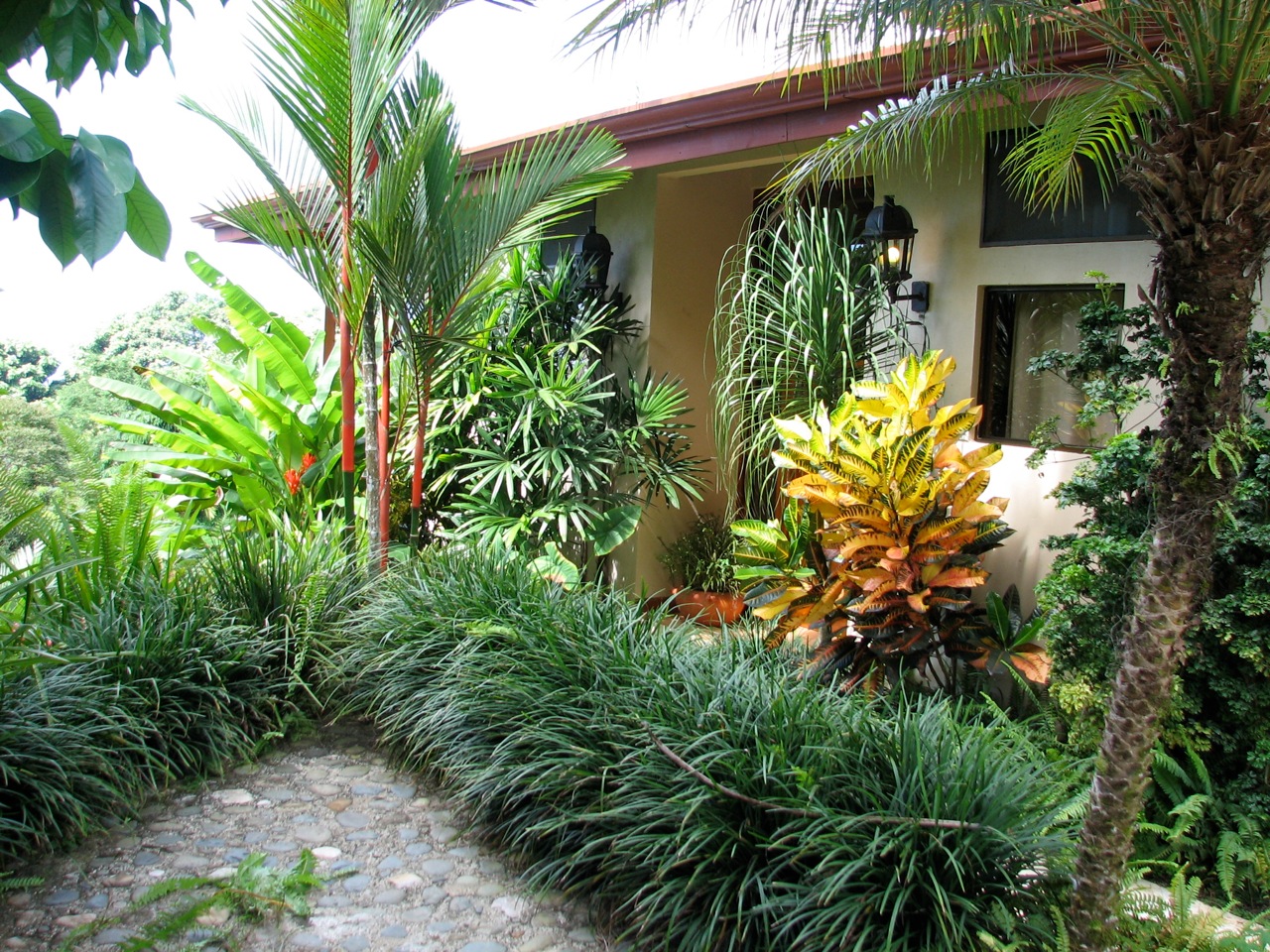 6 bed Single Family Homes For Sale in Dominical, Puntarenas - thumb 30