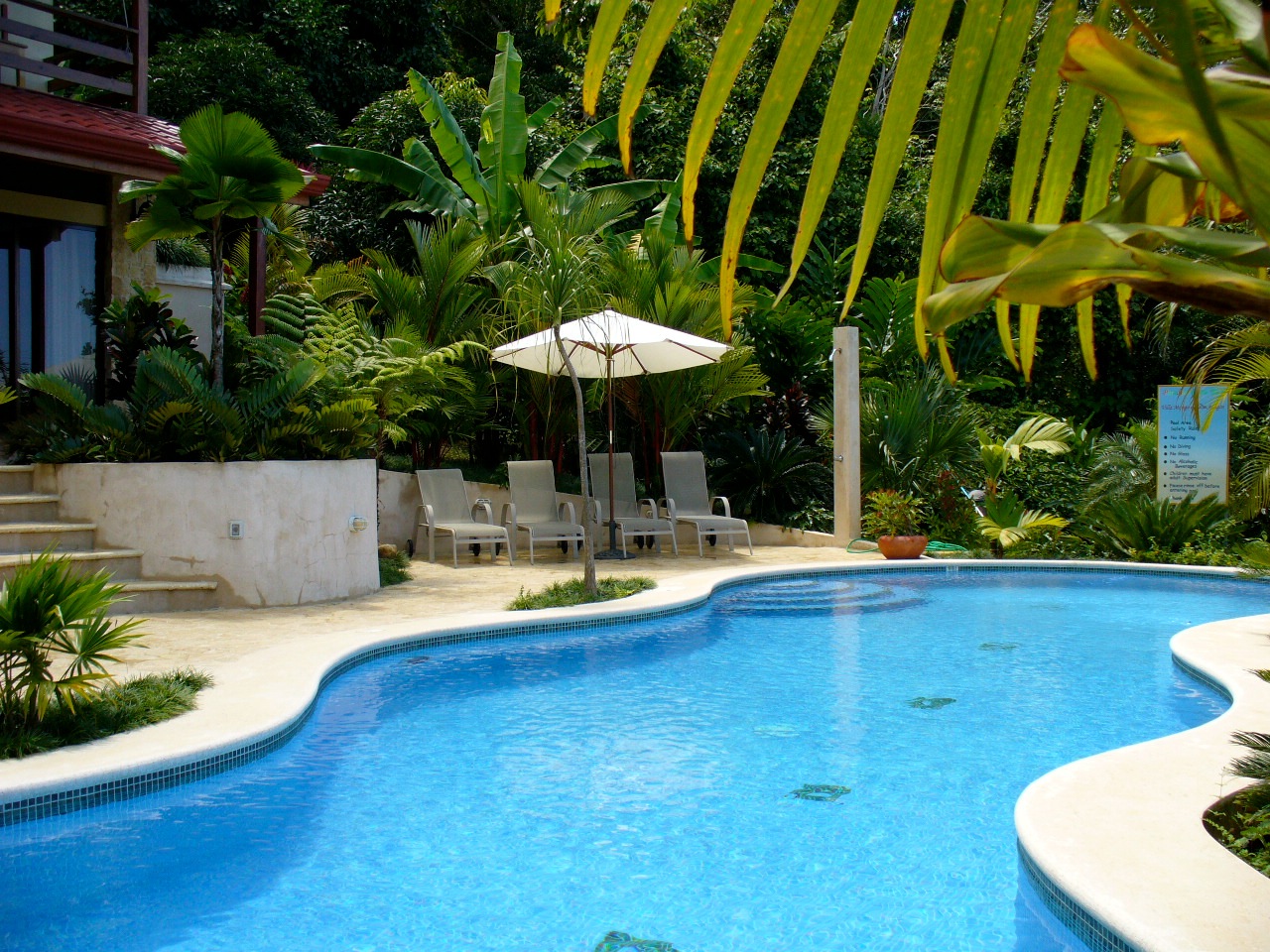 6 bed Single Family Homes For Sale in Dominical, Puntarenas - thumb 18