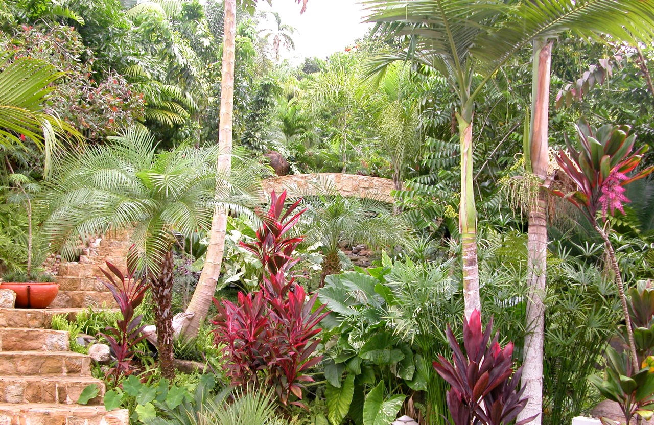 6 bed Single Family Homes For Sale in Dominical, Puntarenas - thumb 29