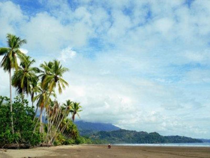 0 bed Land For Sale in Uvita, Puntarenas - 1