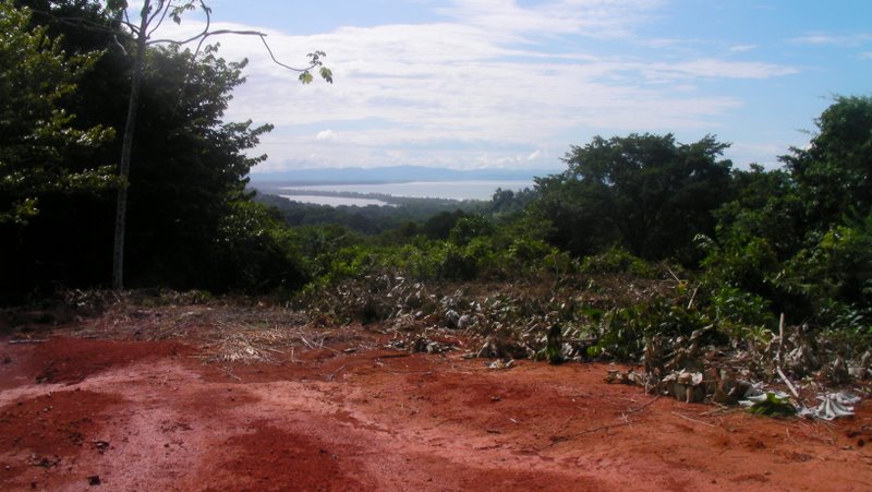 0 bed Land For Sale in Ojochal, Puntarenas - thumb 7
