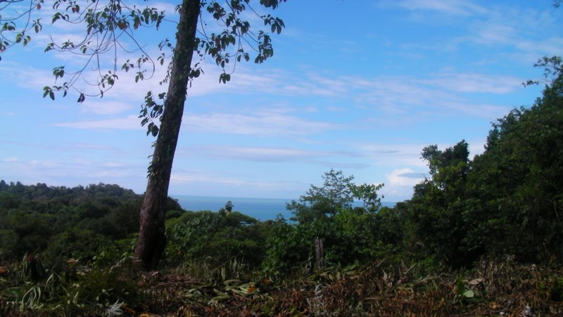 0 bed Land For Sale in Ojochal, Puntarenas - thumb 1
