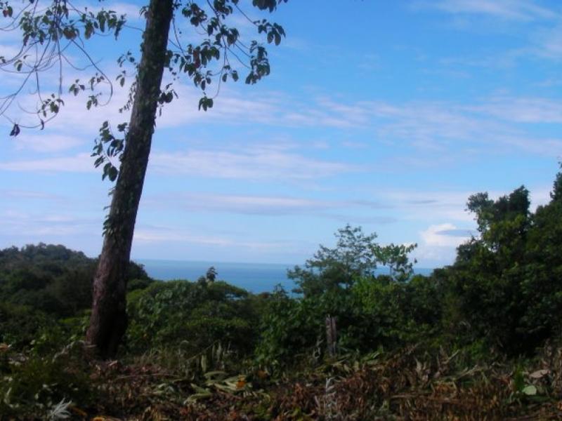 0 bed Land For Sale in Ojochal, Puntarenas - 1
