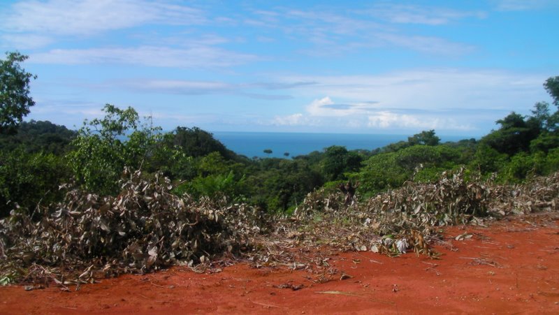 0 bed Land For Sale in Ojochal, Puntarenas - thumb 4
