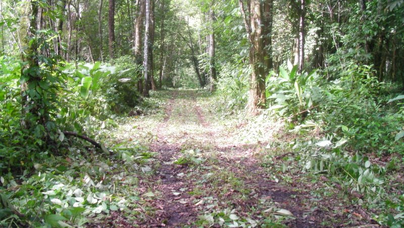 0 bed Land For Sale in Ojochal, Puntarenas - thumb 8