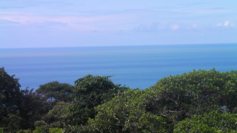 0 bed Land For Sale in Ojochal, Puntarenas - thumb 2