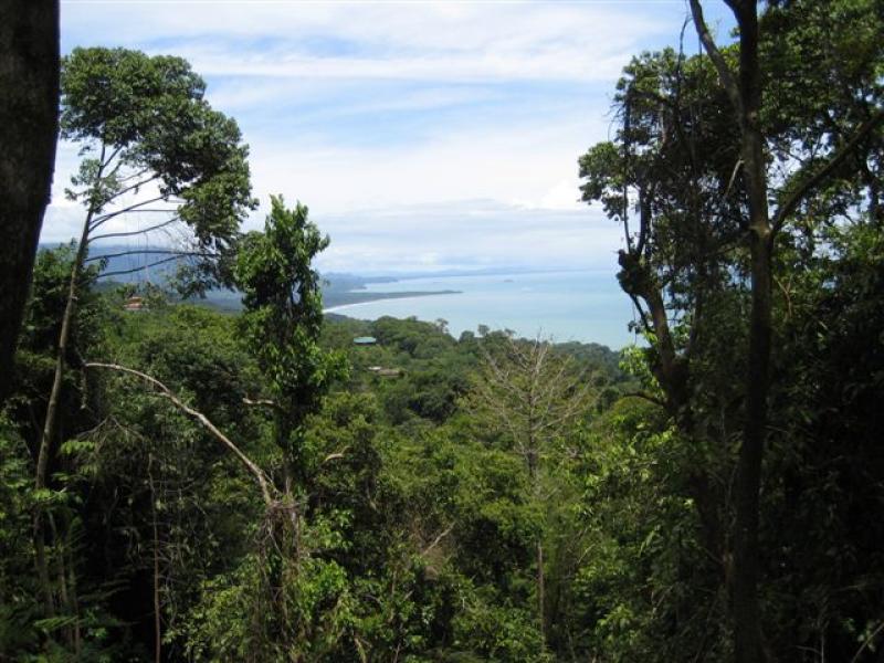 0 bed Land For Sale in Dominical, Puntarenas - 1