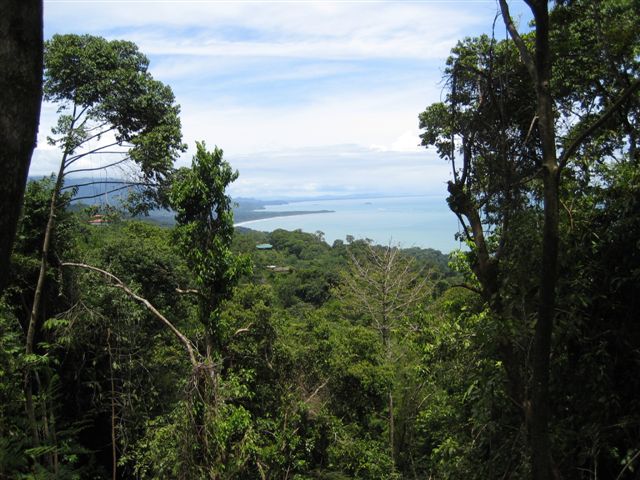 0 bed Land For Sale in Dominical, Puntarenas - thumb 1
